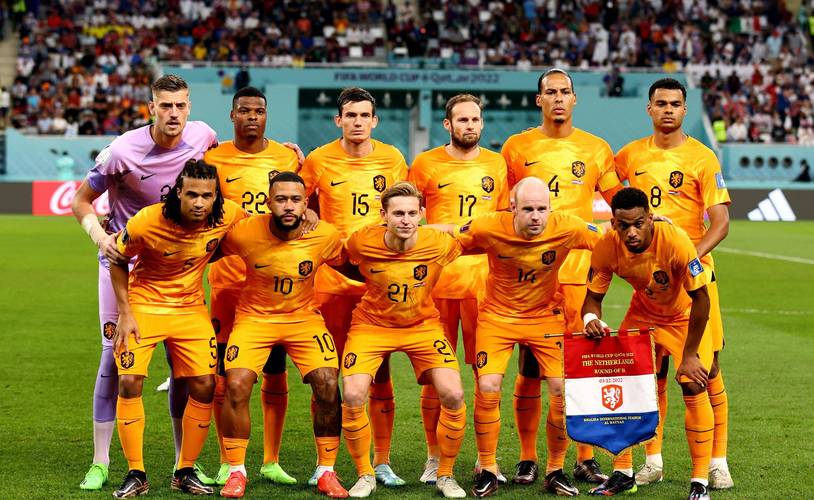 2014世界杯荷兰阵容14号