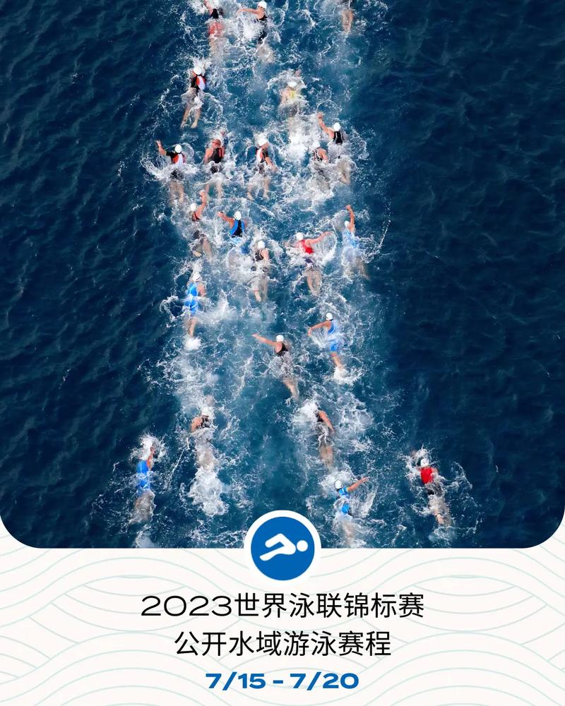 游泳世锦赛2023直播的相关图片