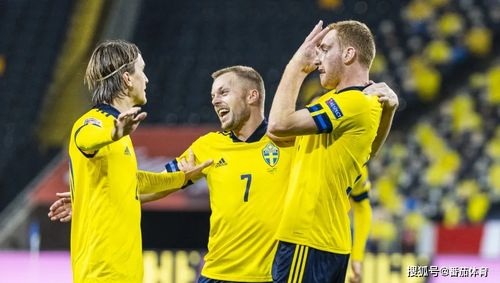 瑞典vs的相关图片