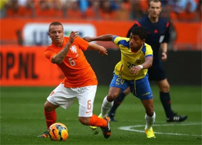 直播:荷兰vs厄瓜多尔的相关图片